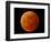 A Total Lunar Eclipse-null-Framed Photographic Print