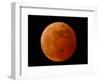 A Total Lunar Eclipse-null-Framed Photographic Print