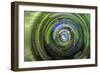 A touch of blue-Heidi Westum-Framed Photographic Print