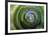 A touch of blue-Heidi Westum-Framed Photographic Print