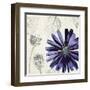 A Touch of Color III-Tandi Venter-Framed Art Print