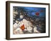 A Touch of Fall-Tanja Ware-Framed Giclee Print