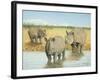 A Tough Life-Pat Scott-Framed Giclee Print