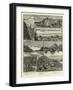 A Tour in Alaska-null-Framed Giclee Print