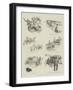 A Tour on a Tandem Tricycle-null-Framed Giclee Print