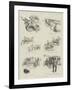 A Tour on a Tandem Tricycle-null-Framed Giclee Print