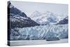 A Tourist Ship Explores the Lamplugh Glacier in Glacier Bay National Park and Preserve, Alaska-Michael Nolan-Stretched Canvas