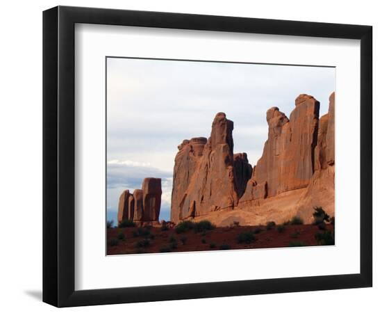Premium Photographic Print, , large