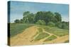 A Track across the Fields, C.1821-Wilhelm Alexander Kobell-Stretched Canvas