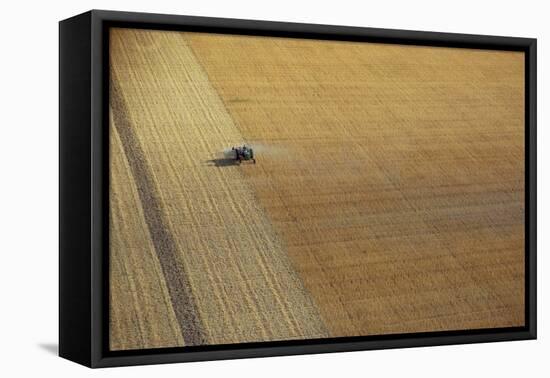 A Tractor Harvesting-null-Framed Stretched Canvas