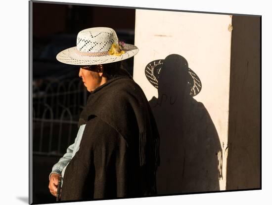 A Traditional Bolivian Woman in the City of Potosi-Alex Saberi-Mounted Photographic Print