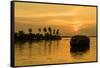 A traditional houseboat moves past the setting sun on the Kerala Backwaters, Kerala, India, Asia-Logan Brown-Framed Stretched Canvas