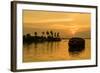 A traditional houseboat moves past the setting sun on the Kerala Backwaters, Kerala, India, Asia-Logan Brown-Framed Photographic Print