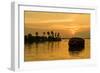 A traditional houseboat moves past the setting sun on the Kerala Backwaters, Kerala, India, Asia-Logan Brown-Framed Premium Photographic Print