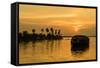 A traditional houseboat moves past the setting sun on the Kerala Backwaters, Kerala, India, Asia-Logan Brown-Framed Stretched Canvas