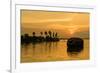 A traditional houseboat moves past the setting sun on the Kerala Backwaters, Kerala, India, Asia-Logan Brown-Framed Photographic Print