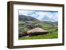 A traditional straw house in the Ecuadorian Andes, Ecuador, South America-Alexandre Rotenberg-Framed Photographic Print