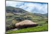 A traditional straw house in the Ecuadorian Andes, Ecuador, South America-Alexandre Rotenberg-Mounted Photographic Print