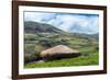 A traditional straw house in the Ecuadorian Andes, Ecuador, South America-Alexandre Rotenberg-Framed Photographic Print