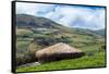 A traditional straw house in the Ecuadorian Andes, Ecuador, South America-Alexandre Rotenberg-Framed Stretched Canvas