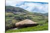 A traditional straw house in the Ecuadorian Andes, Ecuador, South America-Alexandre Rotenberg-Stretched Canvas