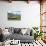 A traditional straw house in the Ecuadorian Andes, Ecuador, South America-Alexandre Rotenberg-Photographic Print displayed on a wall