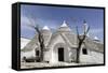 A Traditional Trullo House at Masseria Tagliente-Stuart Forster-Framed Stretched Canvas