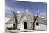 A Traditional Trullo House at Masseria Tagliente-Stuart Forster-Mounted Photographic Print