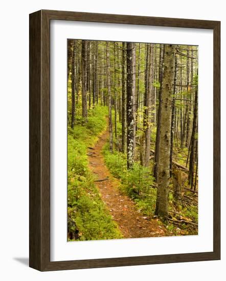 A trail around Ammonoosuc Lake, White Mountain National Forest, New Hampshire, USA-Jerry & Marcy Monkman-Framed Photographic Print