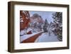 A Trail Of Wonder-Bill Sherrell-Framed Photographic Print