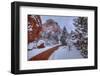 A Trail Of Wonder-Bill Sherrell-Framed Photographic Print