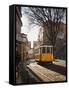 A Tramway in Alfama District, Lisbon-Mauricio Abreu-Framed Stretched Canvas