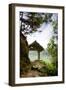 A Tranquil Garden Path in the Mountains-Tyler Olson-Framed Photographic Print