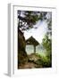 A Tranquil Garden Path in the Mountains-Tyler Olson-Framed Photographic Print