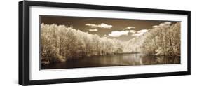 A Tranquil Journey-Ily Szilagyi-Framed Giclee Print