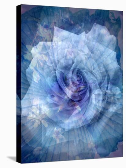 A Translucent Floral Layer Work of Roses in Blue Tones-Alaya Gadeh-Stretched Canvas