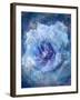 A Translucent Floral Layer Work of Roses in Blue Tones-Alaya Gadeh-Framed Photographic Print