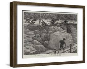 A Traveller Stoned by Monkeys in the Himalayas-null-Framed Giclee Print