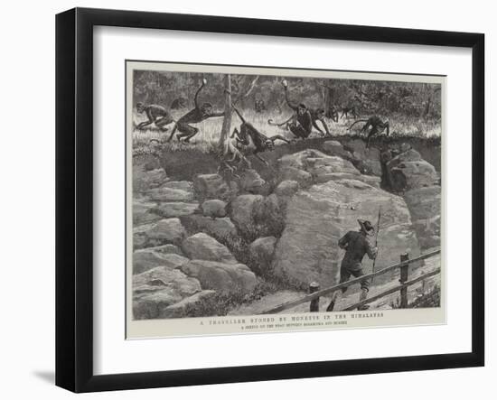 A Traveller Stoned by Monkeys in the Himalayas-null-Framed Giclee Print
