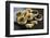 A Tray with Traditional Food from the Northwest-Yadid Levy-Framed Photographic Print