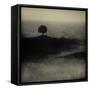 A Tree, a Cross and an Animal on a Small Piece of Land by the Sea-Marco Diaz-Framed Stretched Canvas