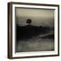 A Tree, a Cross and an Animal on a Small Piece of Land by the Sea-Marco Diaz-Framed Photographic Print