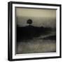 A Tree, a Cross and an Animal on a Small Piece of Land by the Sea-Marco Diaz-Framed Photographic Print