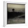 A Tree, a Cross and an Animal on a Small Piece of Land by the Sea-Marco Diaz-Framed Photographic Print