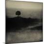 A Tree, a Cross and an Animal on a Small Piece of Land by the Sea-Marco Diaz-Mounted Photographic Print