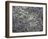 A Tree Covered with Snow, Boulder-Dörte Pietron-Framed Photographic Print