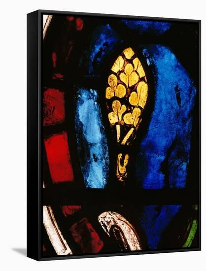 A Tree Emerges from the Flood, Stained Glass-null-Framed Stretched Canvas