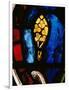 A Tree Emerges from the Flood, Stained Glass-null-Framed Giclee Print