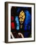 A Tree Emerges from the Flood, Stained Glass-null-Framed Giclee Print