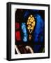 A Tree Emerges from the Flood, Stained Glass-null-Framed Giclee Print